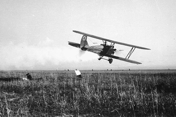 1953年5月,军委民航局航空农林队波2型飞机首次在江苏省微山湖地区进行药剂灭蝗飞行,取得良好效果。(陈兰英提供).jpg 1953年5月,军委民航局航空农林队波2型飞机首次在江苏省微山湖地区进行药剂灭蝗飞行,取得良好效果。(陈兰英提供).jpg