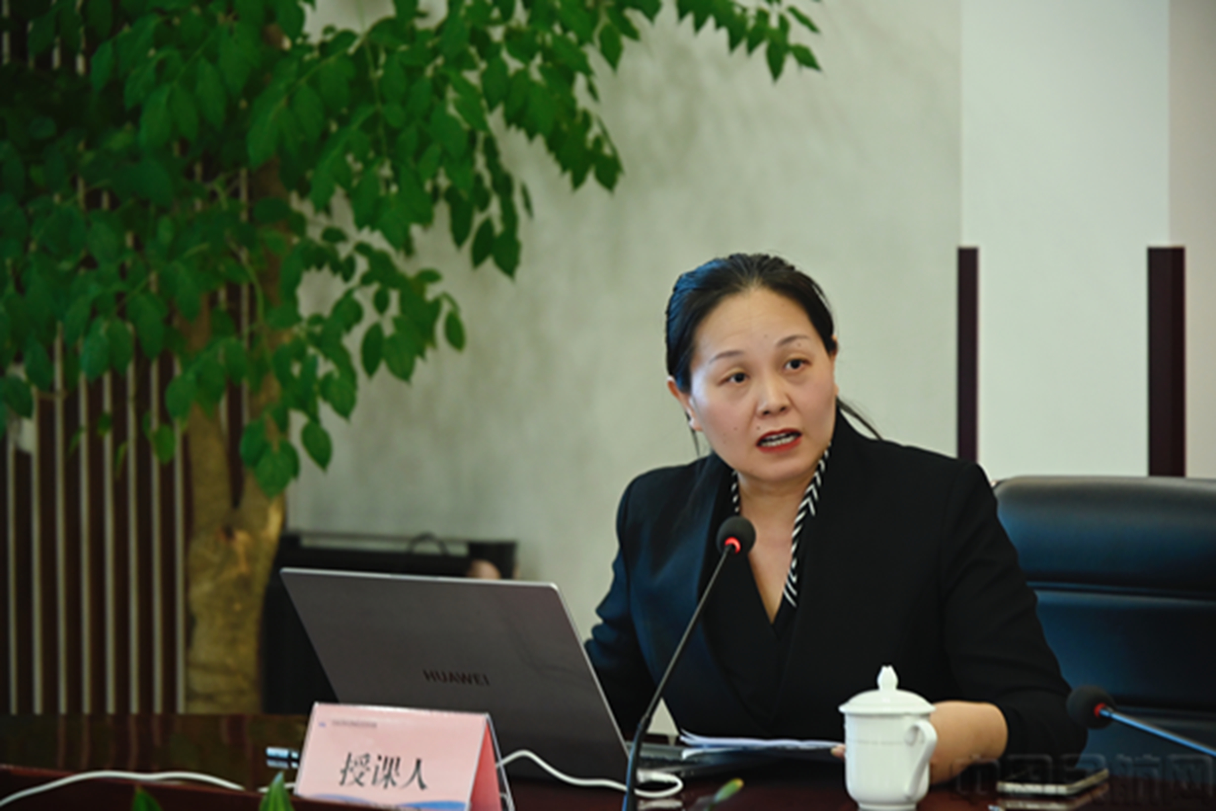 吴燕老师为大家授课