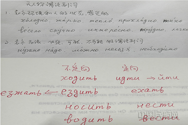 1 王淑凤手写的教学笔记.jpg 1 王淑凤手写的教学笔记.jpg