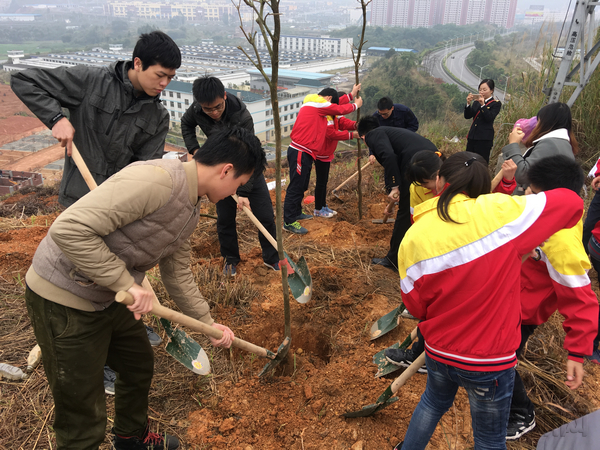 梧州机场志愿者参加植树节主题活动