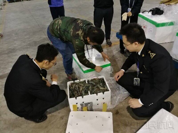 首批空运的越南海鲜抵达南宁机场(图)