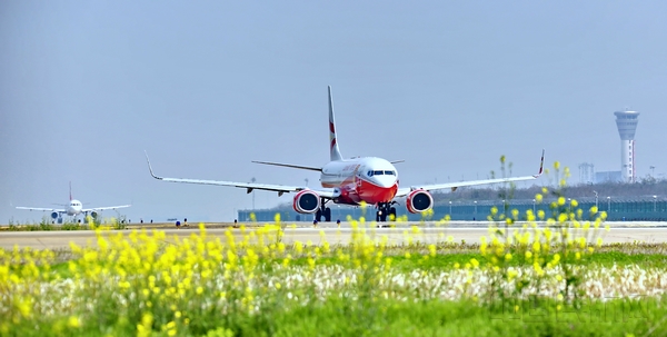 春到空港.jpg