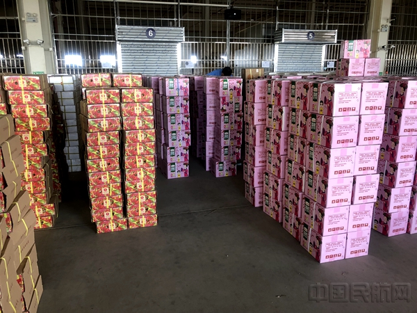 备战荔枝季:美兰货运联合顺丰速运搭建空运绿色通道 24小时内送达全国3.jpg 备战荔枝季:美兰货运联合顺丰速运搭建空运绿色通道 24小时内送达全国3.jpg
