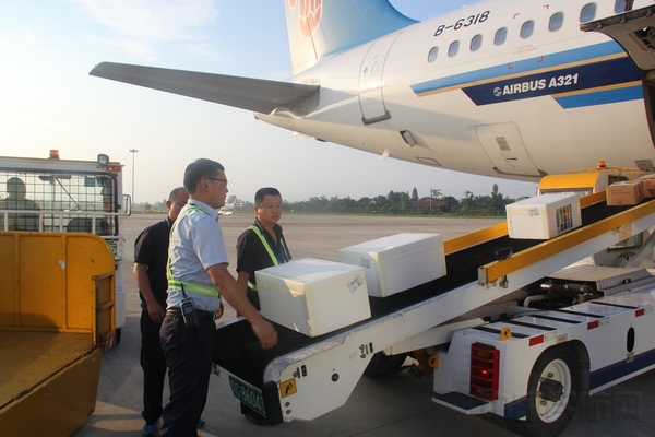 常德桃花源机场:为脱贫插上翅膀(图)