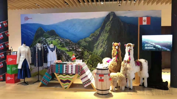由东航物流引入中心的拉美国家展区.jpg 由东航物流引入中心的拉美国家展区.jpg