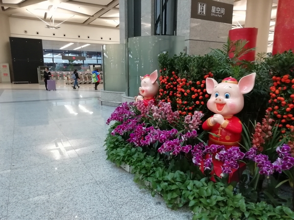 虹桥机场东交通中心新春生肖景观.jpg 虹桥机场东交通中心新春生肖景观.jpg