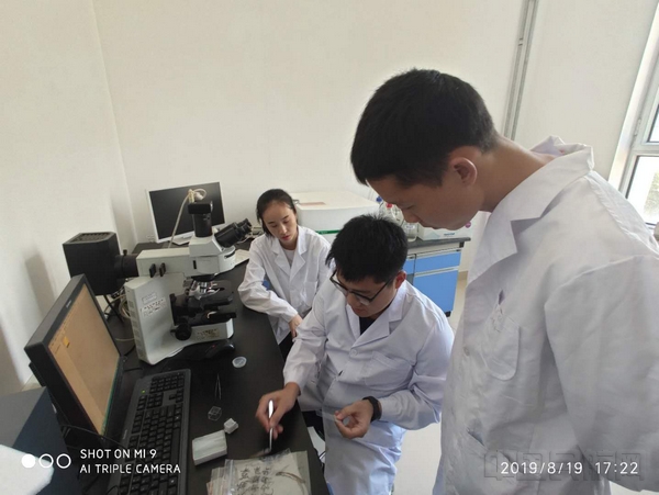 新疆农业大学草环学院鸟羽微观结构鉴定1.jpg 新疆农业大学草环学院鸟羽微观结构鉴定1.jpg