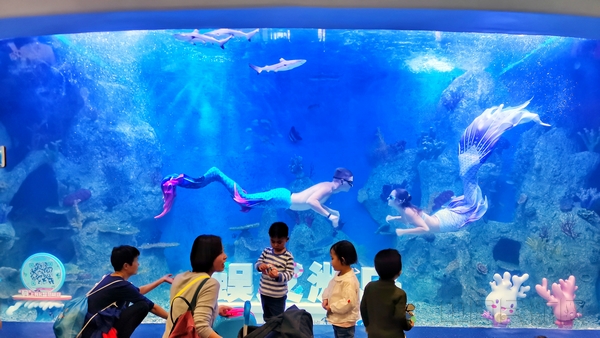 配图:“海洋之眼”美人鱼表演.jpg 配图:“海洋之眼”美人鱼表演.jpg