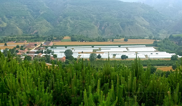 水印6.jpg