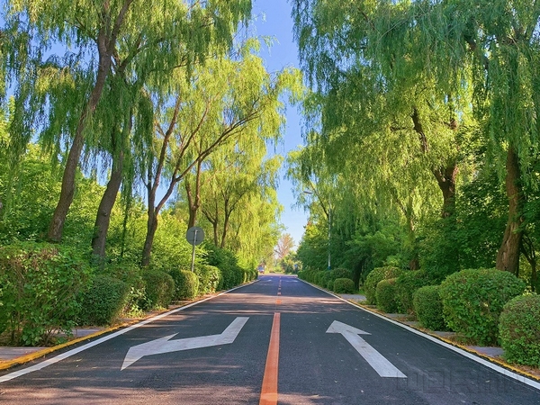 图：改扩建工程场区破损路面修复.jpg