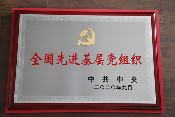 先进基层党组织n.jpg