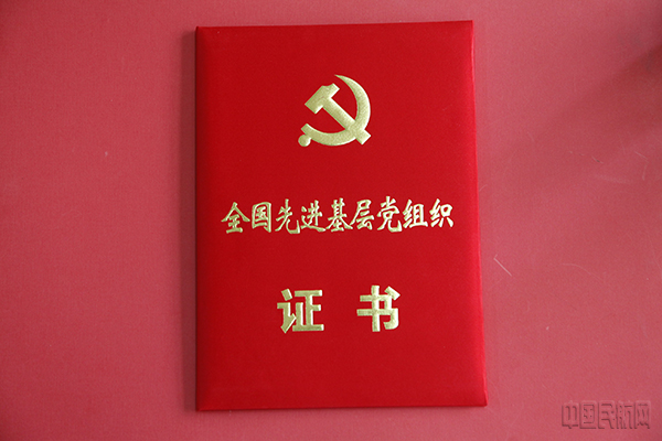 外壳 组织n.jpg