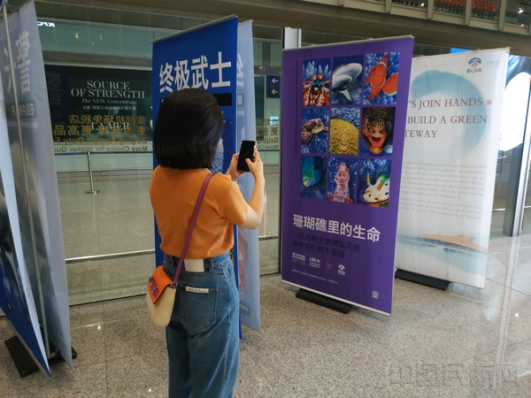 首都机场携手联合国环境规划署开展“海洋生物多样性保护”主题活动.jpg 首都机场携手联合国环境规划署开展“海洋生物多样性保护”主题活动.jpg