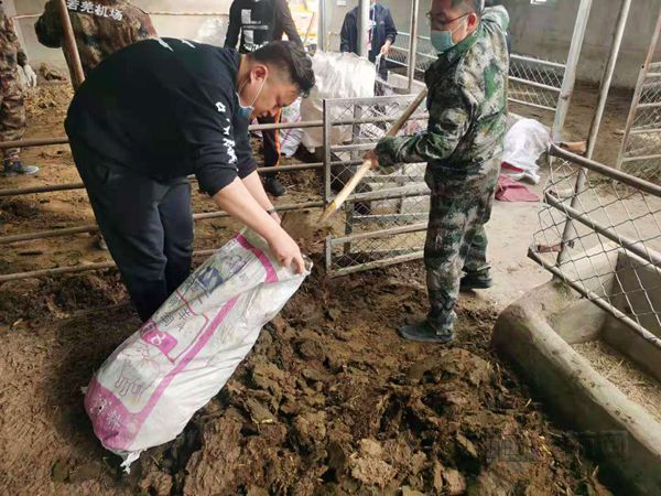 2若羌机场大棚种植掀起春耕备耕热潮_副本.jpg