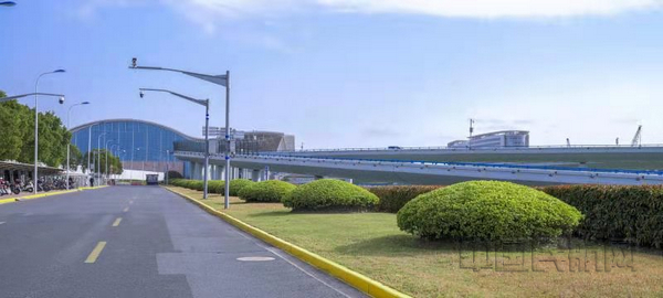 浦东机场绿化景观(浦东机场供图
