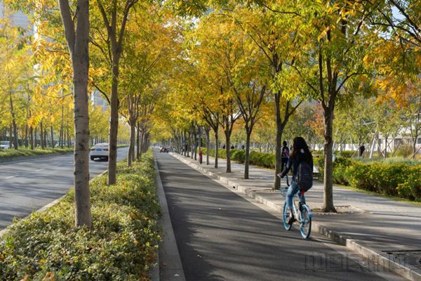 龙华机场跑道变身为”跑道公园“和城市道路-图源SASAKI上海公号_副本.jpg 龙华机场跑道变身为”跑道公园“和城市道路-图源SASAKI上海公号_副本.jpg