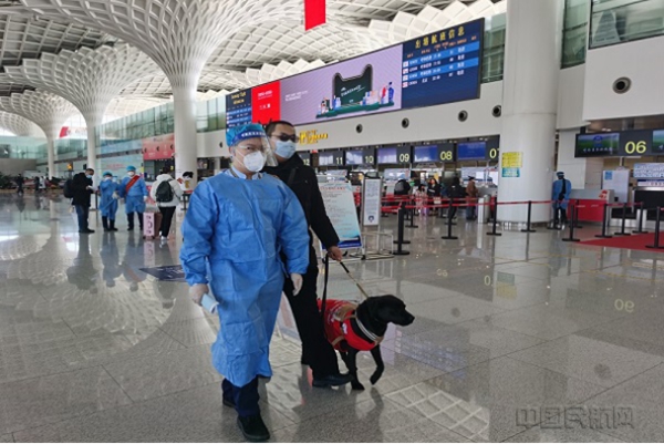 水印 (内蒙古机场集团)呼伦贝尔机场全程护送特殊旅客与导盲犬顺利登机1941.jpg