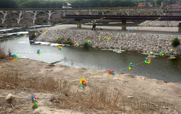 图:布设在飞行区外的驱鸟风轮 摄影:李晓海_副本.jpg 图:布设在飞行区外的驱鸟风轮 摄影:李晓海_副本.jpg