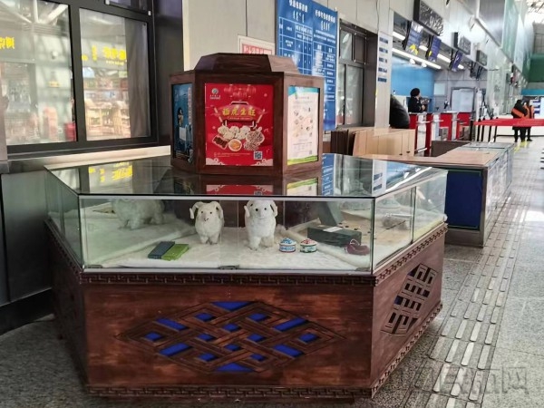 图片33