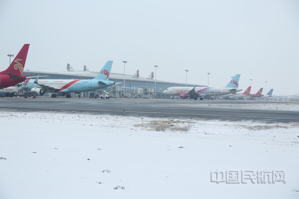 Neo 图片 (3)10