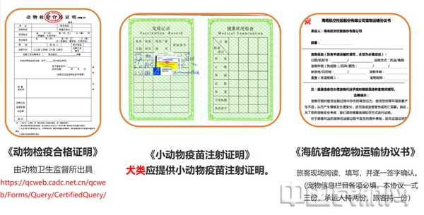 图片22