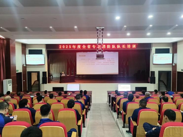 图片11
