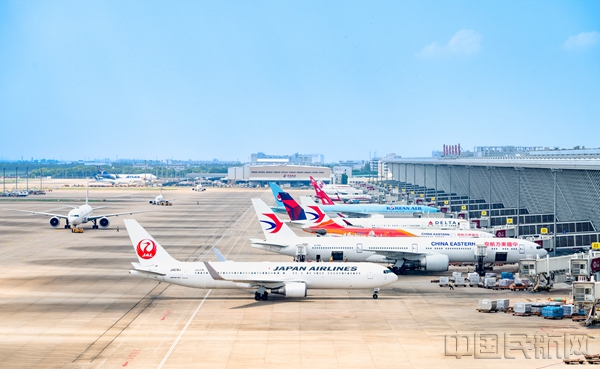中外航司客货机云集的浦东机场机坪-上海机场供图2