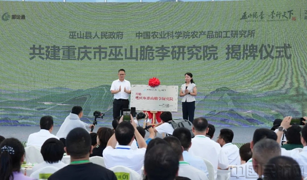 图片52