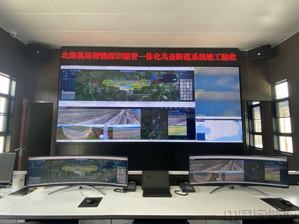 图片81