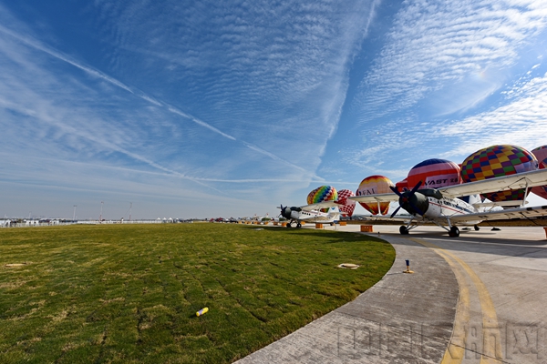 DSC_3768.JPG