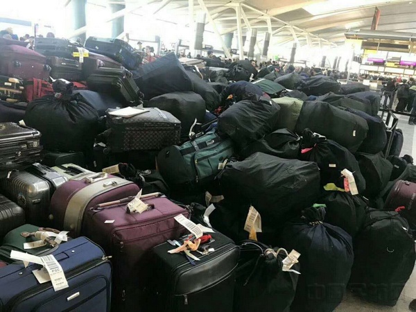 纽约办事处员工确保每一位旅客的行李都顺利送上飞机。.jpg 纽约办事处员工确保每一位旅客的行李都顺利送上飞机。.jpg