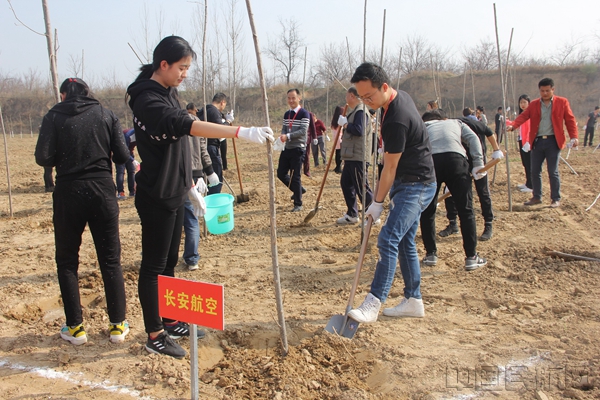 附图1:长安航空植树活动现场.jpg