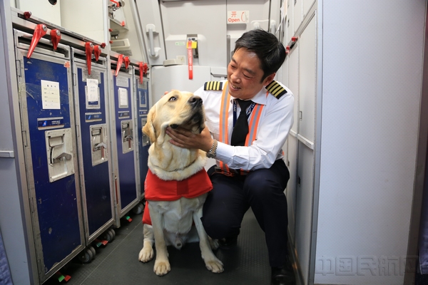 杜莹摄影 南航机长与导盲犬合影.jpg 杜莹摄影 南航机长与导盲犬合影.jpg
