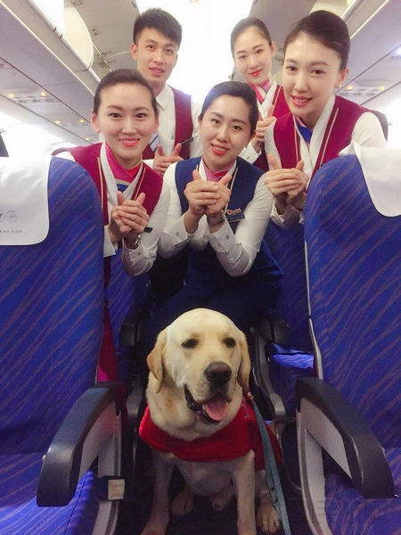温细玉摄影 南航乘务组与导盲犬合影.jpg 温细玉摄影 南航乘务组与导盲犬合影.jpg