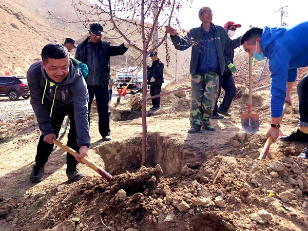 多民族共同植树---孙荧雪.jpg