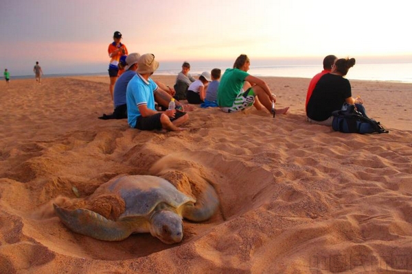 东海航空推出直飞澳大利亚达尔文等城市航线(