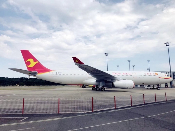 图一 天津航空A330-300机型.jpg