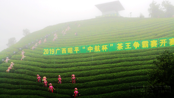 微信图片_20190328152015.jpg 微信图片_20190328152015.jpg