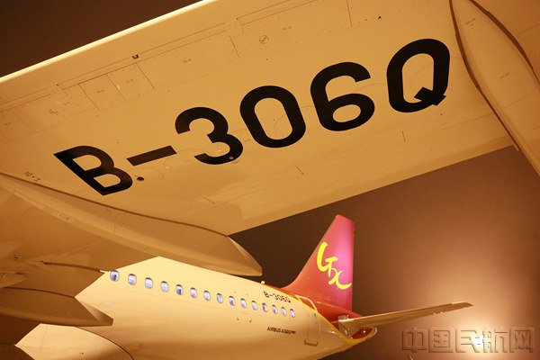 图3 飞机编号特写_副本.jpg