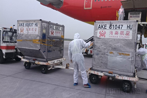 图2:机场工作人员装卸旅客行李。.jpg 图2:机场工作人员装卸旅客行李。.jpg