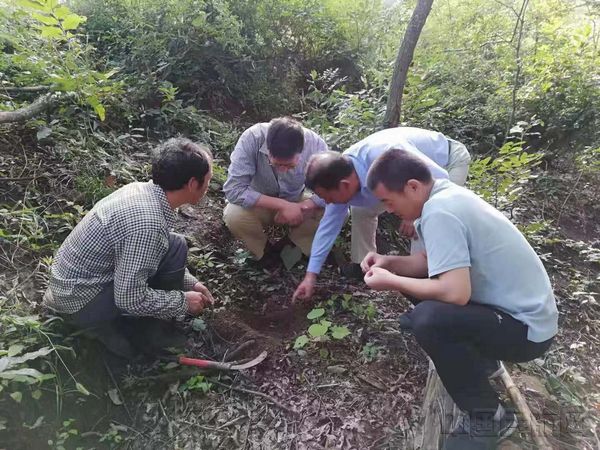 2.东航西北分公司两面扶贫干部坚守扶贫第一线。.jpg 2.东航西北分公司两面扶贫干部坚守扶贫第一线。.jpg