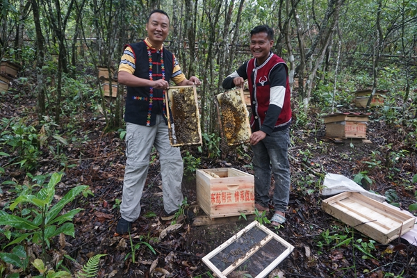 东航沧源蜜蜂产业扶贫基地里，蜂蜜丰收了(左为东航扶贫干部梅艺宝)-东航供图_副本.jpg