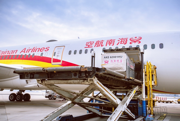 附图3:疫苗装入海南航空飞机腹舱(摄影:蔡林昊)_副本.jpg