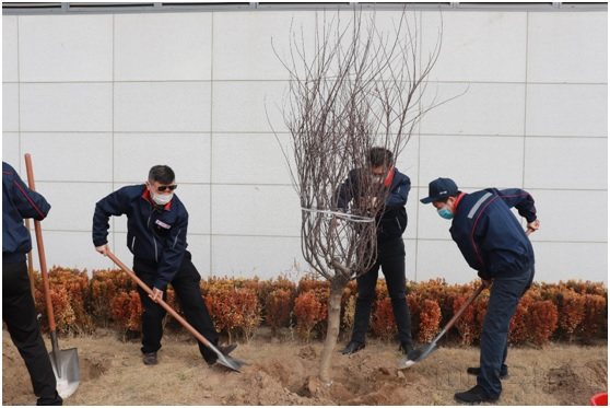 东航党员为大兴机场种下新绿-李新宇摄.jpg 东航党员为大兴机场种下新绿-李新宇摄.jpg