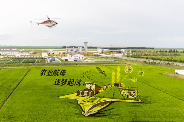 建三江湿地机场附近的稻田画,一架直升机飞过“农业航母 逐梦启航”上空.jpg 建三江湿地机场附近的稻田画,一架直升机飞过“农业航母 逐梦启航”上空.jpg