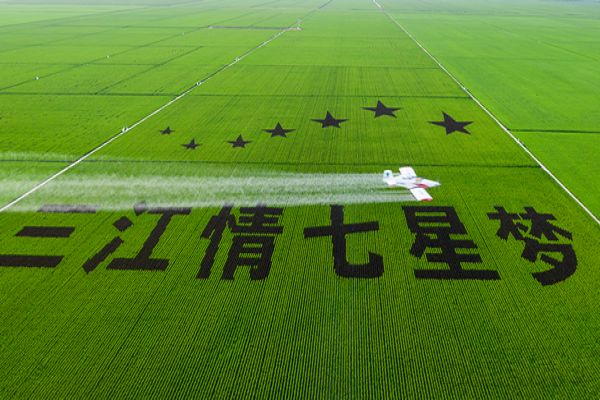 北大荒建三江万亩大地号稻浪滚滚,又一个丰收年即将到来,一架航化作业飞机从14300亩大地上飞过,寓意着中国现代化大农业坚定信心和家国情怀。.jpg 北大荒建三江万亩大地号稻浪滚滚,又一个丰收年即将到来,一架航化作业飞机从14300亩大地上飞过,寓意着中国现代化大农业坚定信心和家国情怀。.jpg