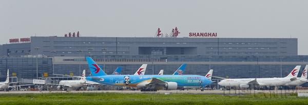 东航“进博号”彩绘机-东航供图_副本.jpg 东航“进博号”彩绘机-东航供图_副本.jpg