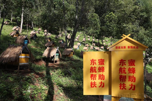东航积极帮扶沧源佤乡的蜜蜂产业-东航供图