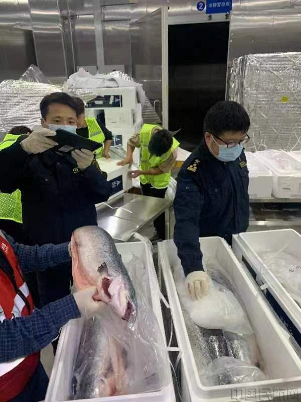 微信图片_20240606170022