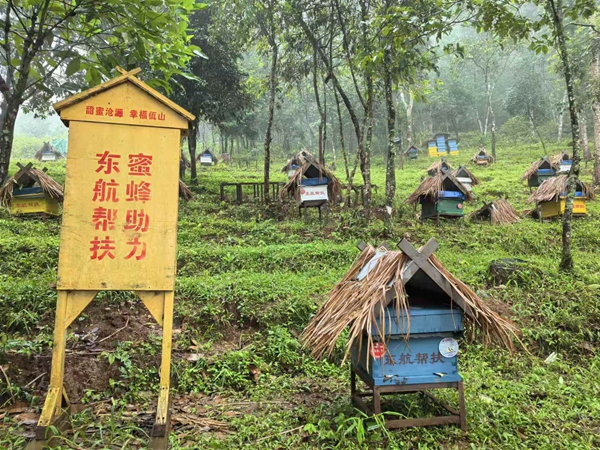 东航引入多方资源,帮扶当地蜜蜂产业发展-东航供图
